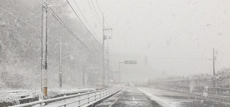 呉に戻ってきて初めての雪